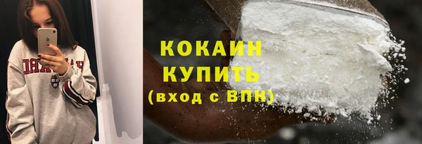 PSILOCYBIN Кукмор