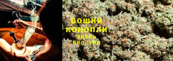 PSILOCYBIN Кукмор