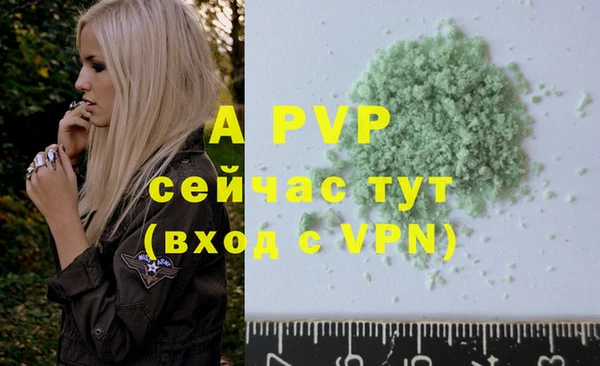 PSILOCYBIN Кукмор