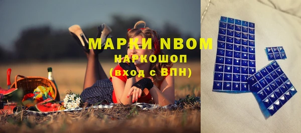 PSILOCYBIN Кукмор